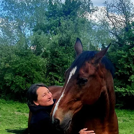 La Casa In Collina 住宿加早餐酒店 Cinzano